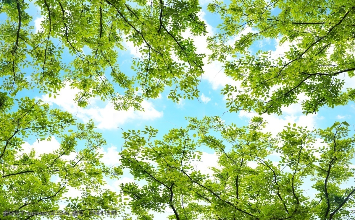 天顶 壁画 绿树 天空 背景 底纹 分层 风景