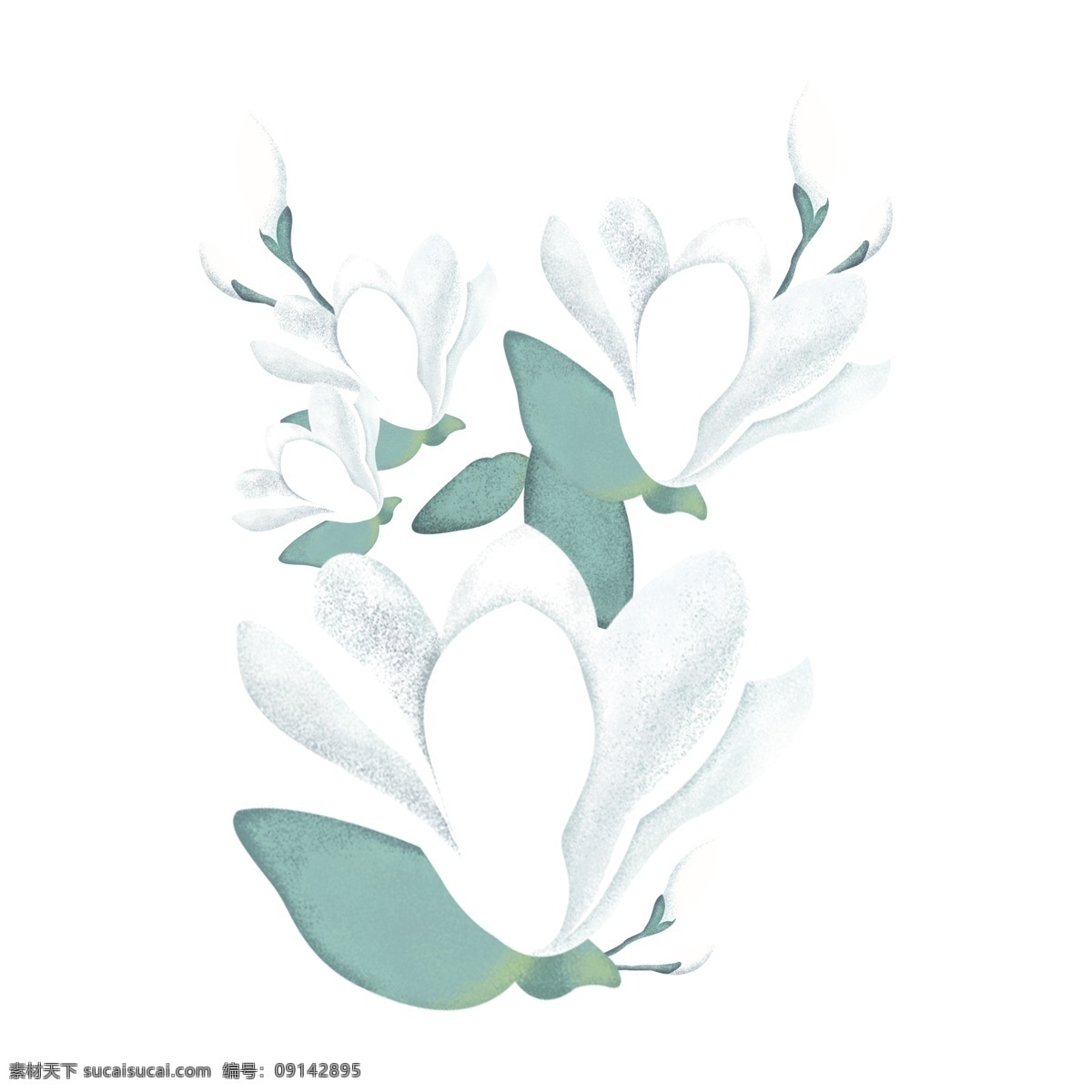 手绘 水彩 花卉 透明 卡通素材 可爱 鲜花 png免抠图 透明素材
