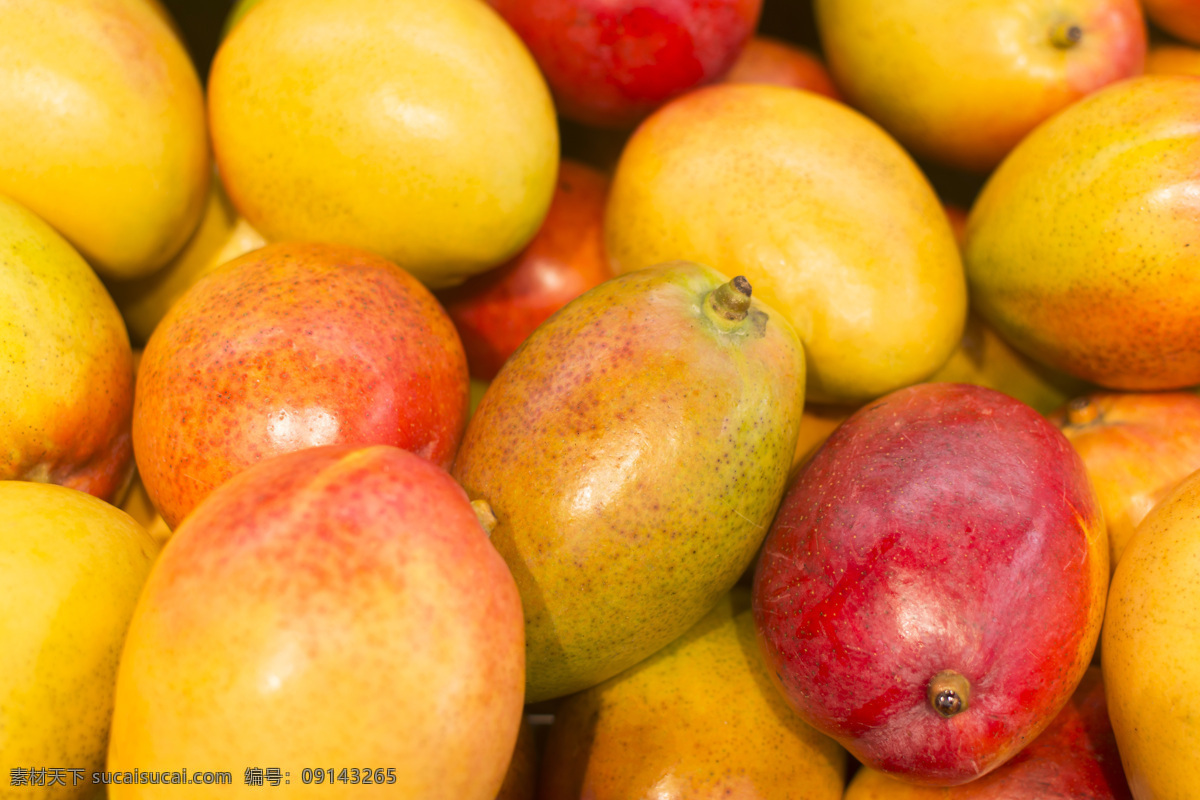 一堆芒果摄影 芒果 一堆黄色水果 美味水果 热带水果 芒果素材 水果 生物世界