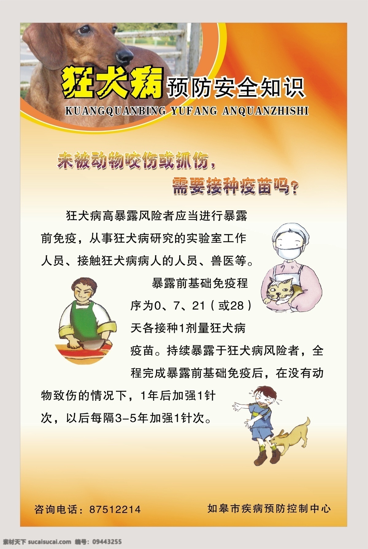 狂犬病知识 狂犬病预防 狂犬病 预防 安全 知识 动物 动物咬伤 抓伤 接种疫苗 狂犬病图片展 广告设计模板 源文件