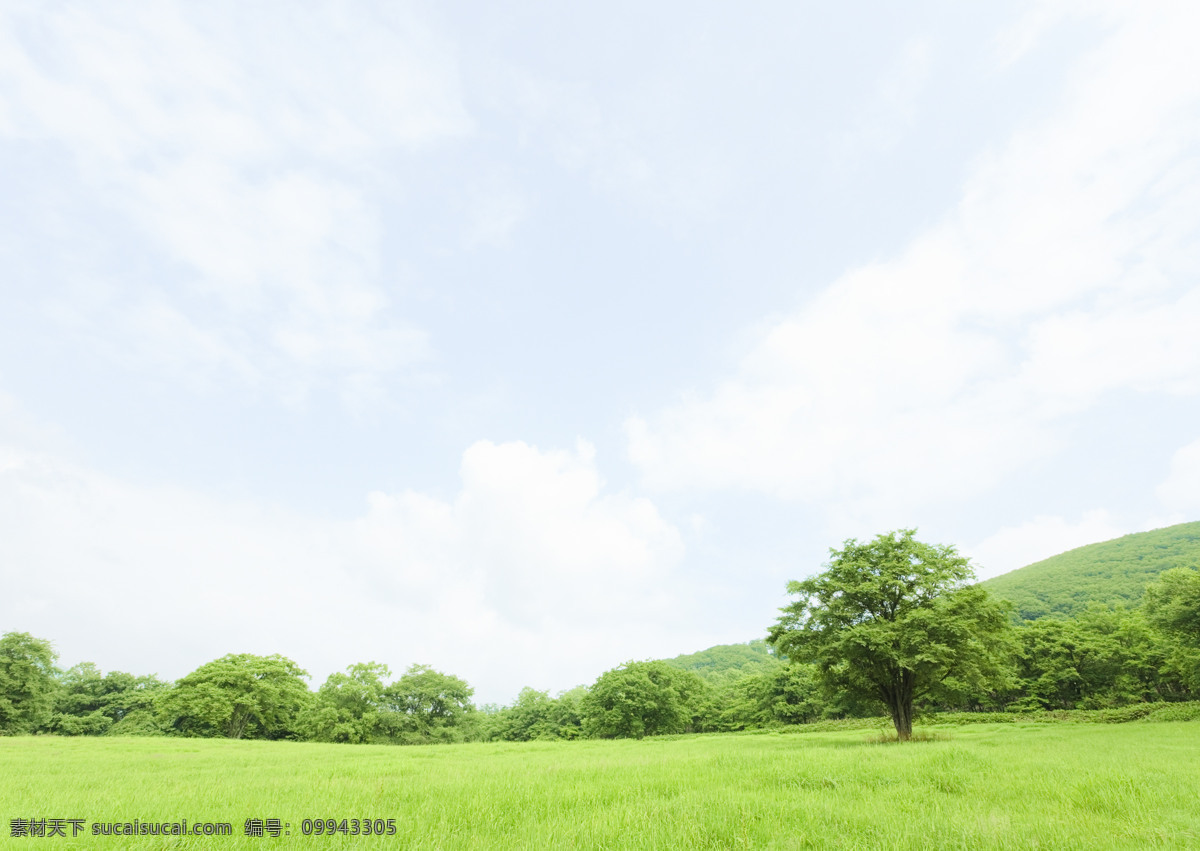 蓝天白云 蓝天 白云 田野 郊外 自然风景 自然景观