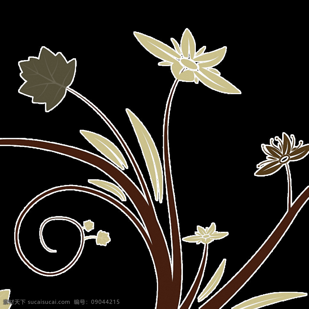 抽象 植物 鲜花 图形 免 抠 透明 装饰 元素 艺术 抽象图形插画 抽象设计元素