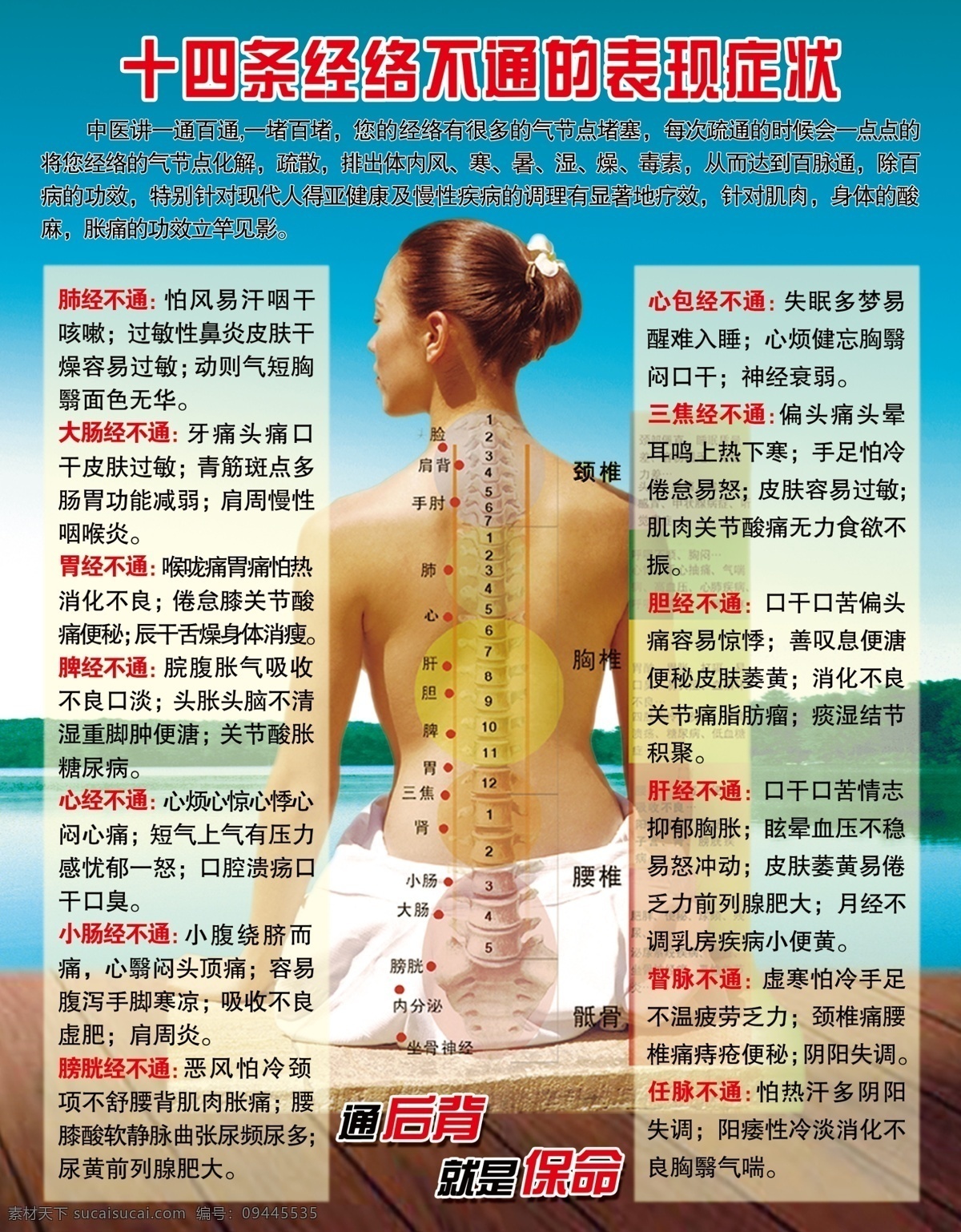 健康 瑜伽 经络 青色 天蓝色