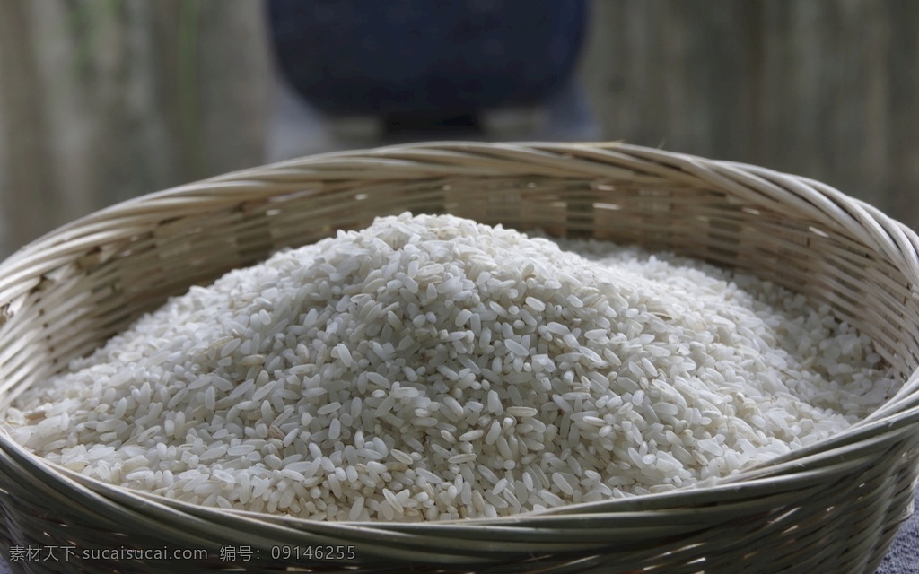 稻米图片 大米 香米 稻米 米粒 长粒香米 米 五谷杂粮 长粒大米 长粒籼米 白米 长粒香 长粒米 晚籼米