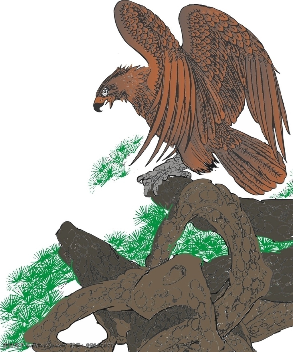 老鹰 老松树 矢量图 花鸟 中国画