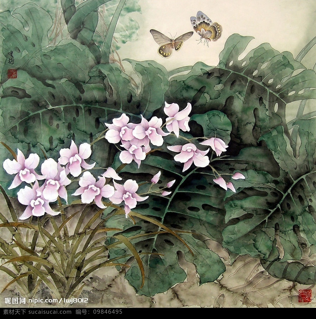 管冬梅 工笔画7 工笔画 蝴蝶 花草 植物 花卉 兰草 文化艺术 绘画书法 设计图库