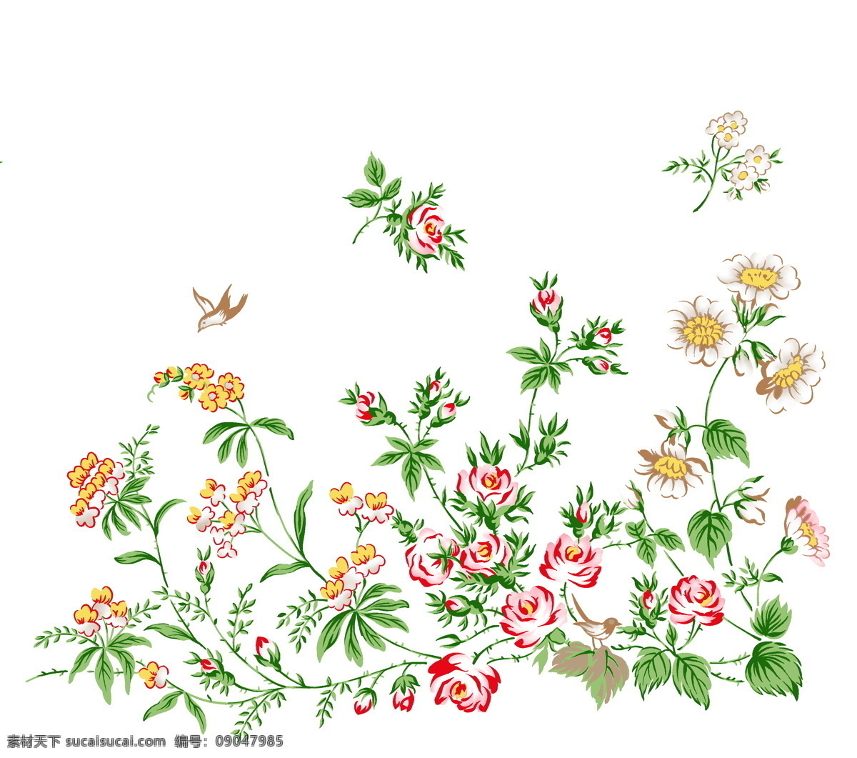 花草插图 花纹 图案 花纹图案 设计素材 花草图案 植物插图 书画美术 白色