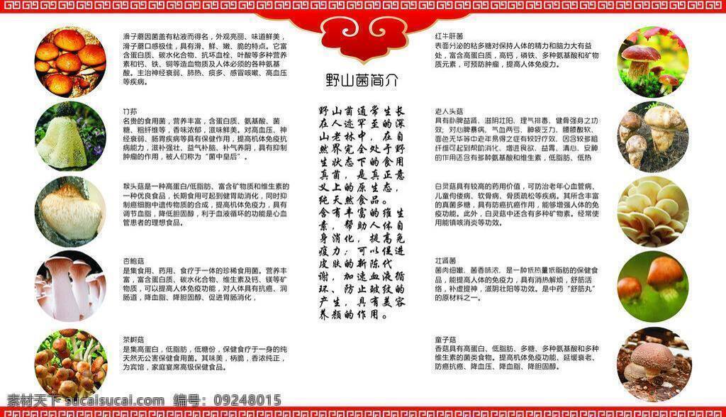 蘑菇 营养 说明 展板模板 蘑菇营养说明 各种 各类蘑菇 矢量 其他展板设计