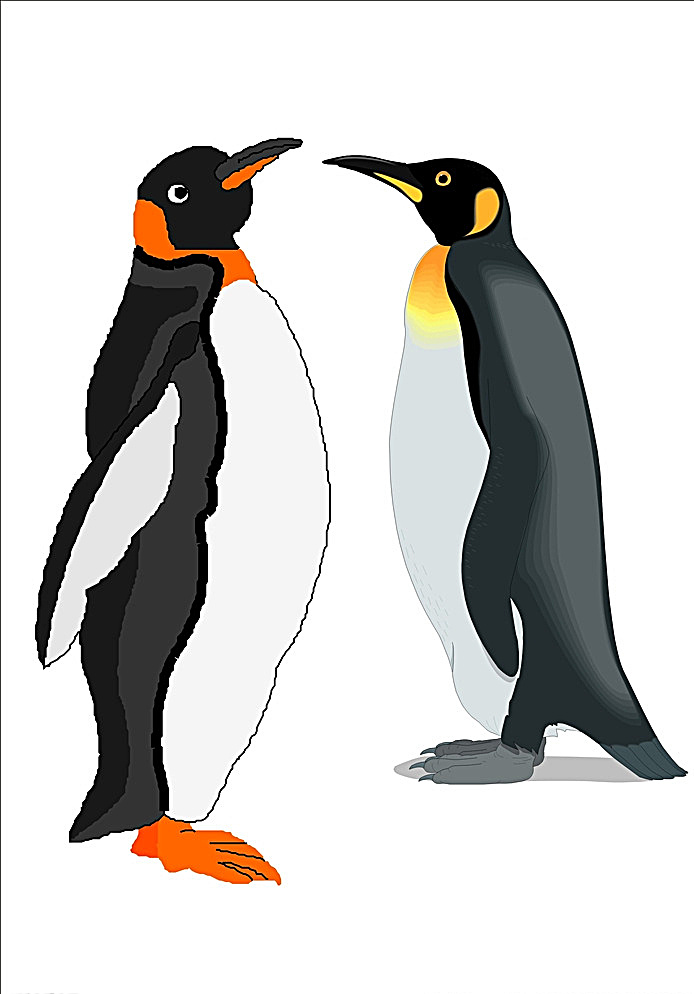 企鹅 企鹅矢量图 冰地企鹅 卡通企鹅小鱼 企鹅素材 南极企鹅 企鹅矢量 鹅 qq 小企鹅 可爱的企鹅 卡通企鹅 企鹅图片 生物世界 野生动物 白色