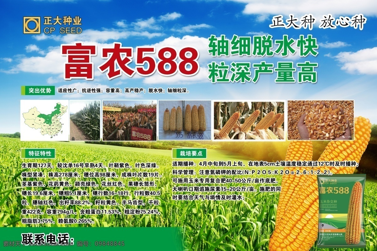 种子农业 种子 富农588 正大种业 麦田 玉米