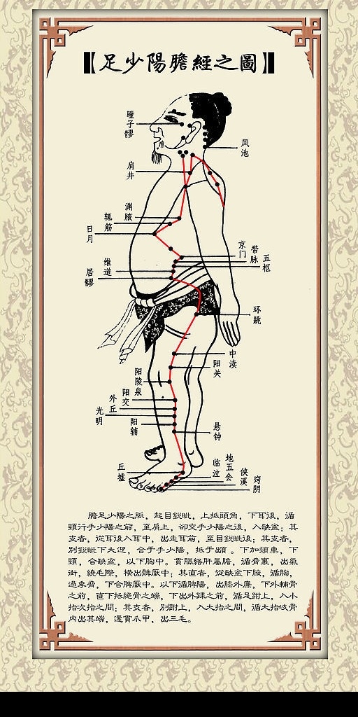足少阳胆经 医院 古代 针灸 经络 健康 医院展板 设计图库
