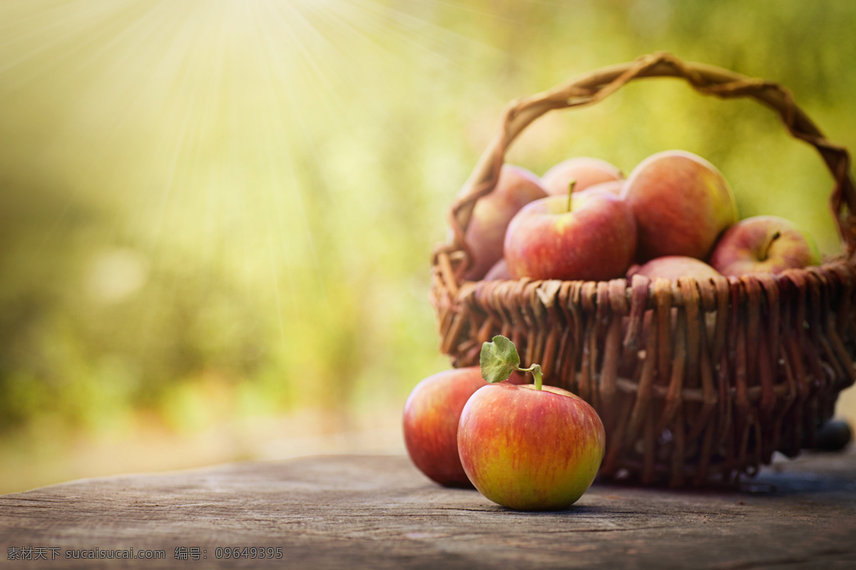 篮子 红苹果 苹果 新鲜水果 美味水果 有机水果 水果蔬菜 水果摄影 苹果图片 餐饮美食