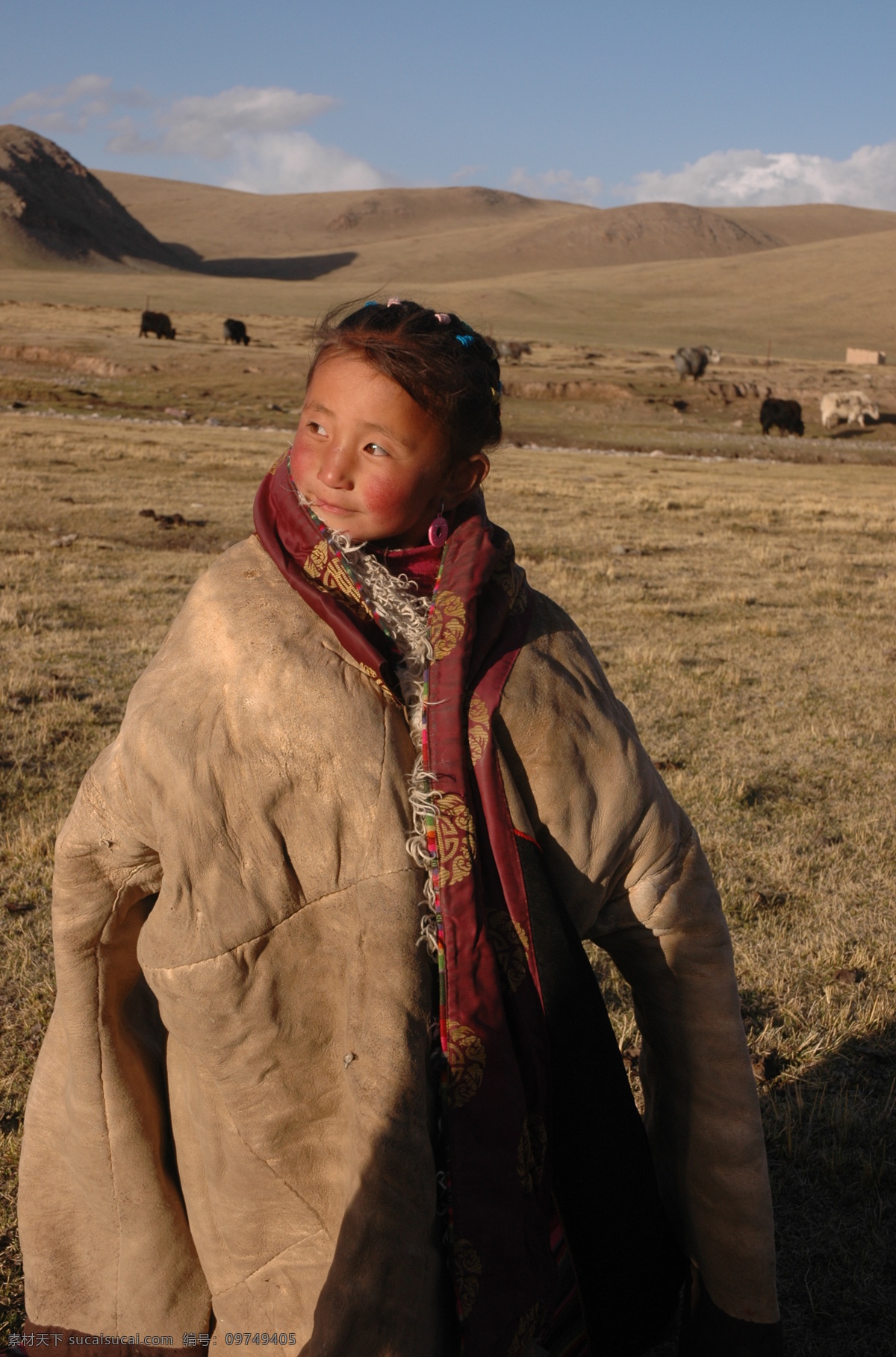 藏族少女 藏族 少女 少数民族 草原 藏族风情 日常生活 人物图库