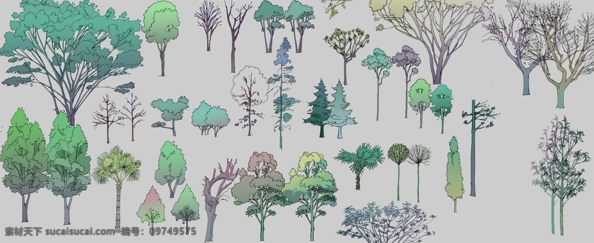 景观植物 乔木类 景观手绘 草图大师植物 sketchup 植物 手绘 立面树 园林 景观 效果图 园林设计 景观效果图 树木 设计类 分层 源文件