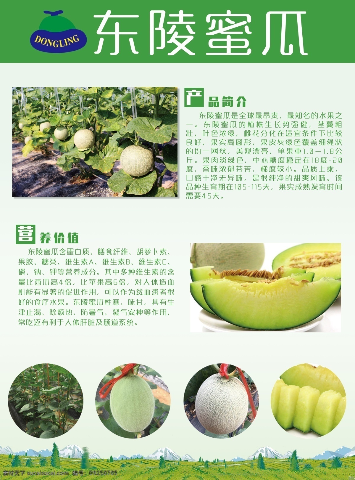 水果宣传页 水果 蜜瓜 网纹瓜 切开 土地 绿色北京 树林 简约 彩页 dm 分层