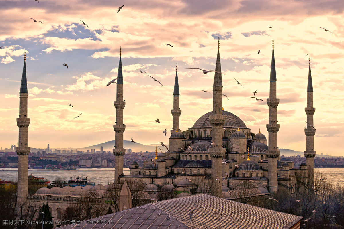 蓝色 清真寺 建筑 风景 伊斯坦布尔 蓝色清真寺 土耳其风光 土耳其 旅游景点 美丽风景 美丽景色 风景摄影 城市风光 环境家居