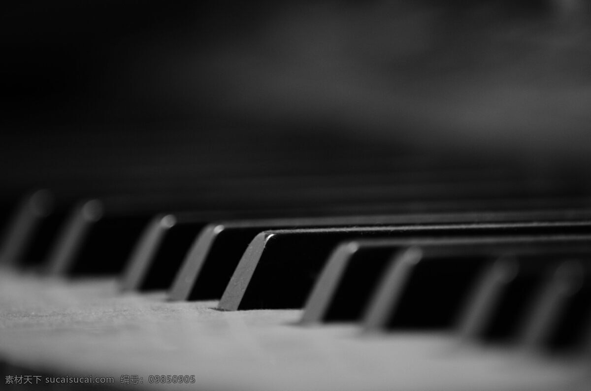 黑白钢琴 诎 赘 智 偻 计 夭 南 略 黑色