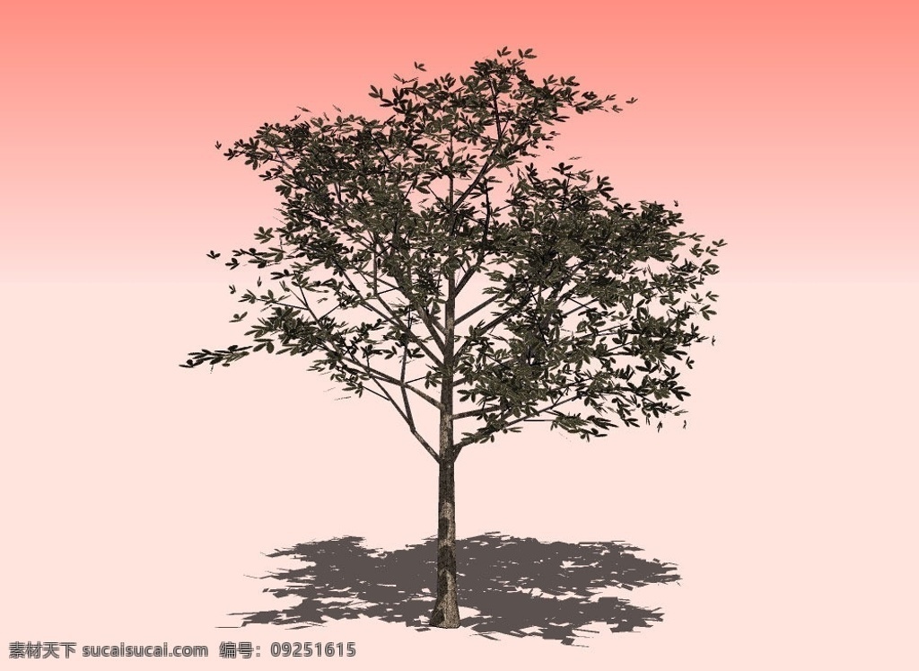 杂树3d模型 树干 树枝 树叶 植物 三维 立体 造型 经典 装饰 精模 skp 精品 3d 模型 其他模型 3d设计模型 源文件