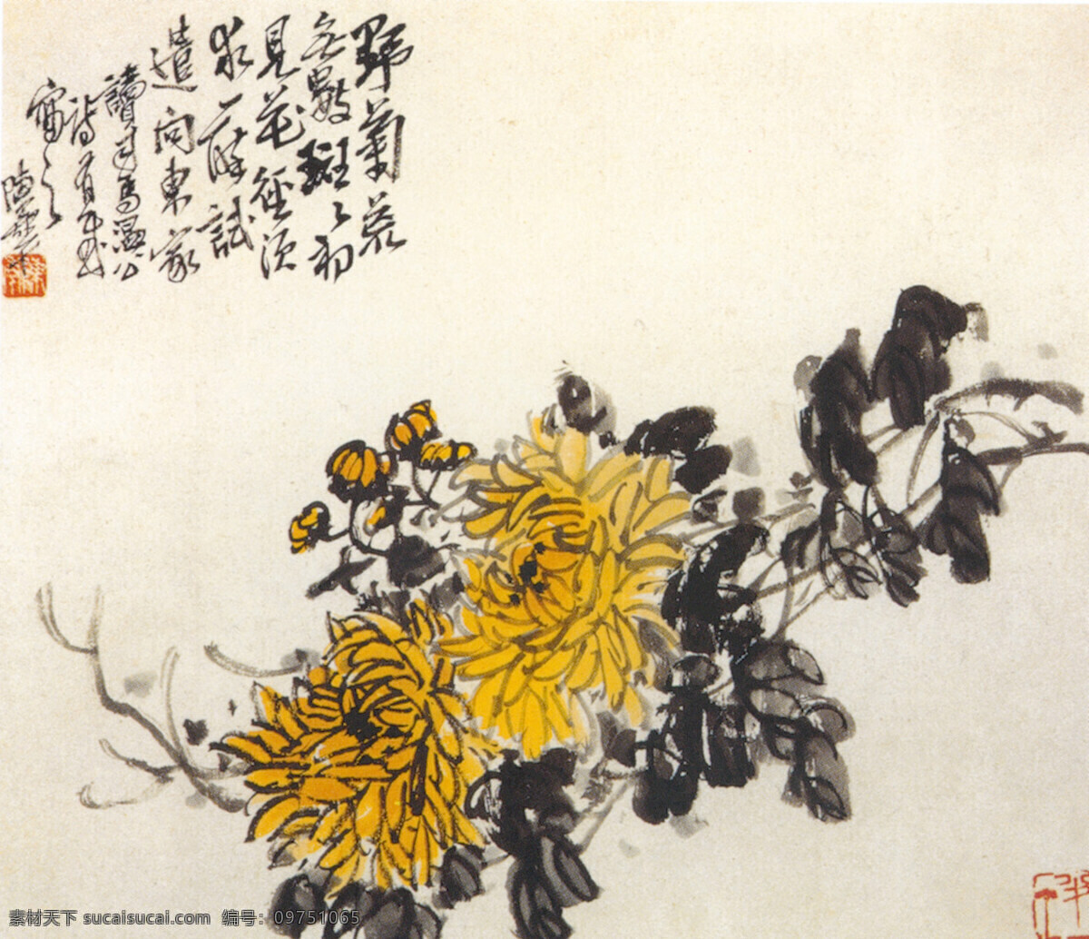 野菊 图 国画 艺术 菊花 文化艺术 绘画书法 国画图 设计图库 301