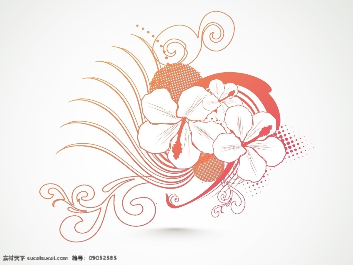 摘要 背景 美丽 花卉 白色