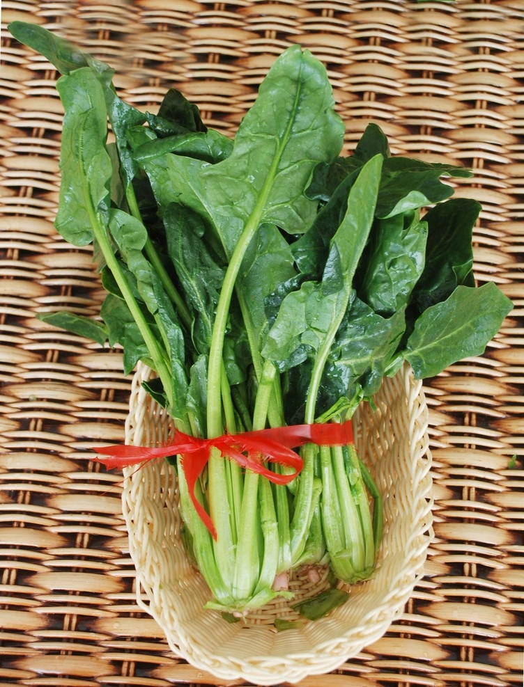 绿色蔬菜 波菜 绿叶 红绳 蔬菜 生物世界