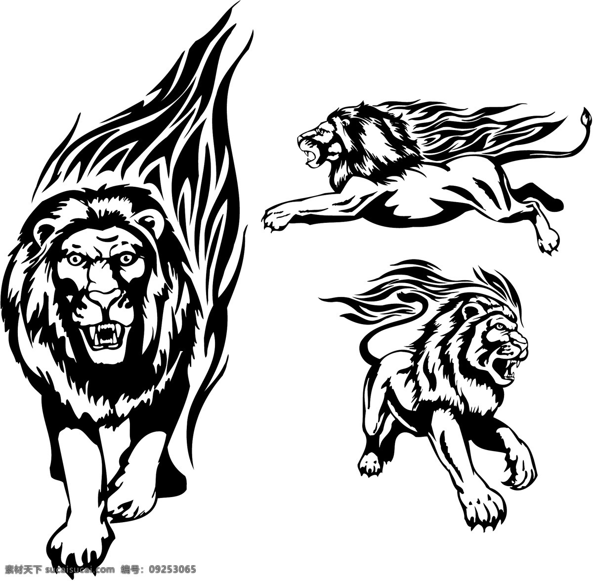 火焰 狮 图腾 矢量 动物 狮子 纹身 向量的火焰 矢量图