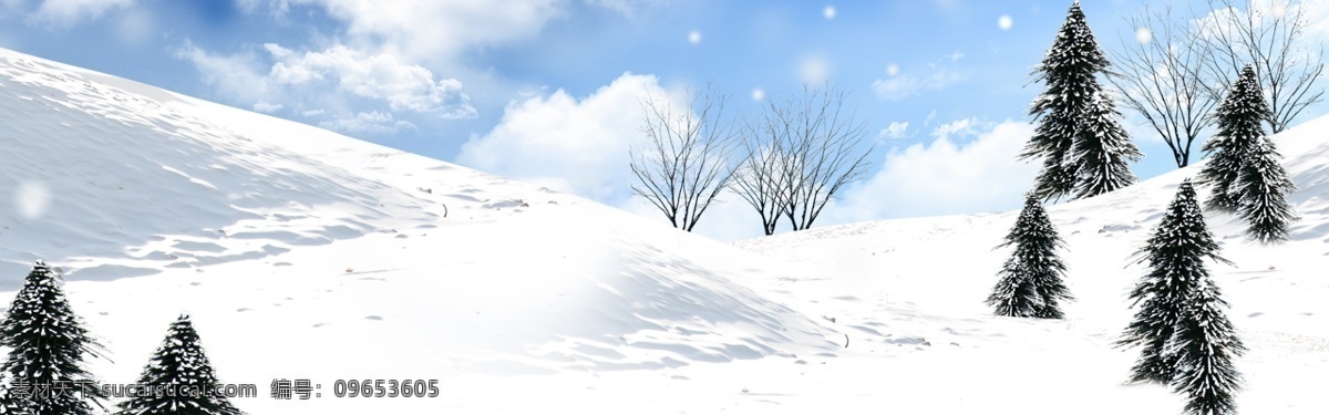 寒冷 冬季 特惠 banner 背景 冬 冬天 唯美 雪松 冬季节日 冬季特惠 冬天你好 24节气 二十四节气