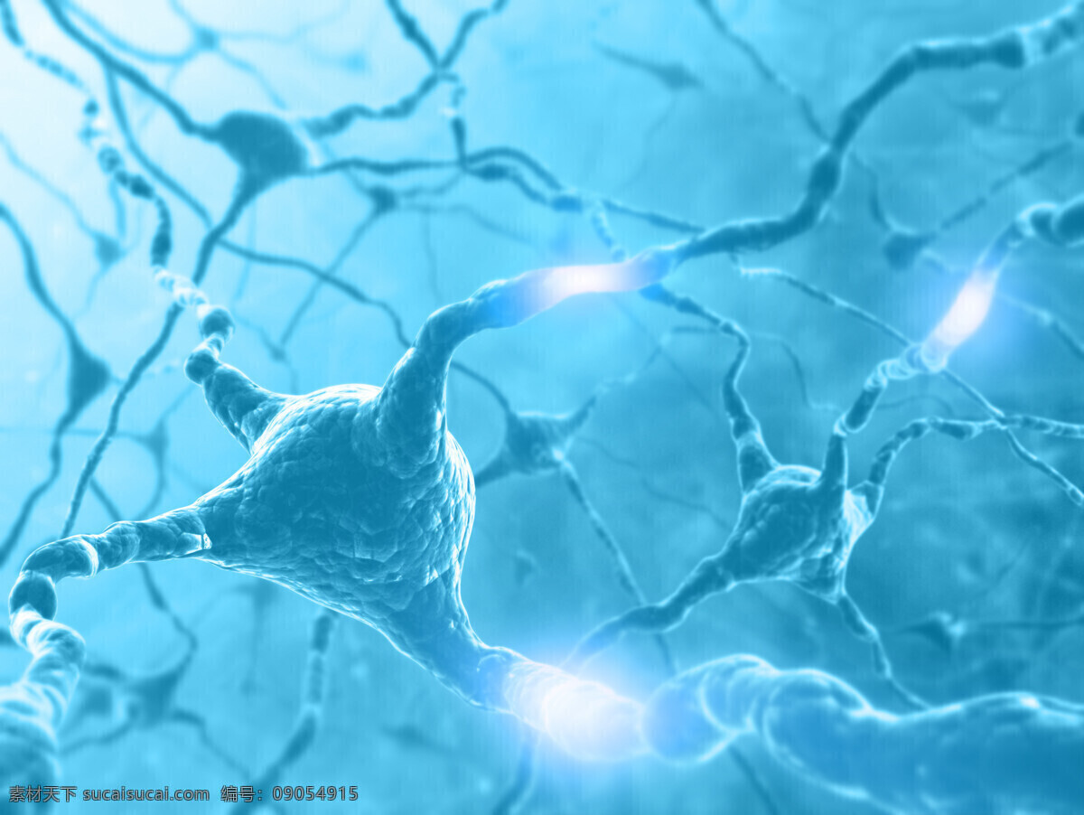 连接 神经细胞 神经元 生物 科技 细胞图片 现代科技