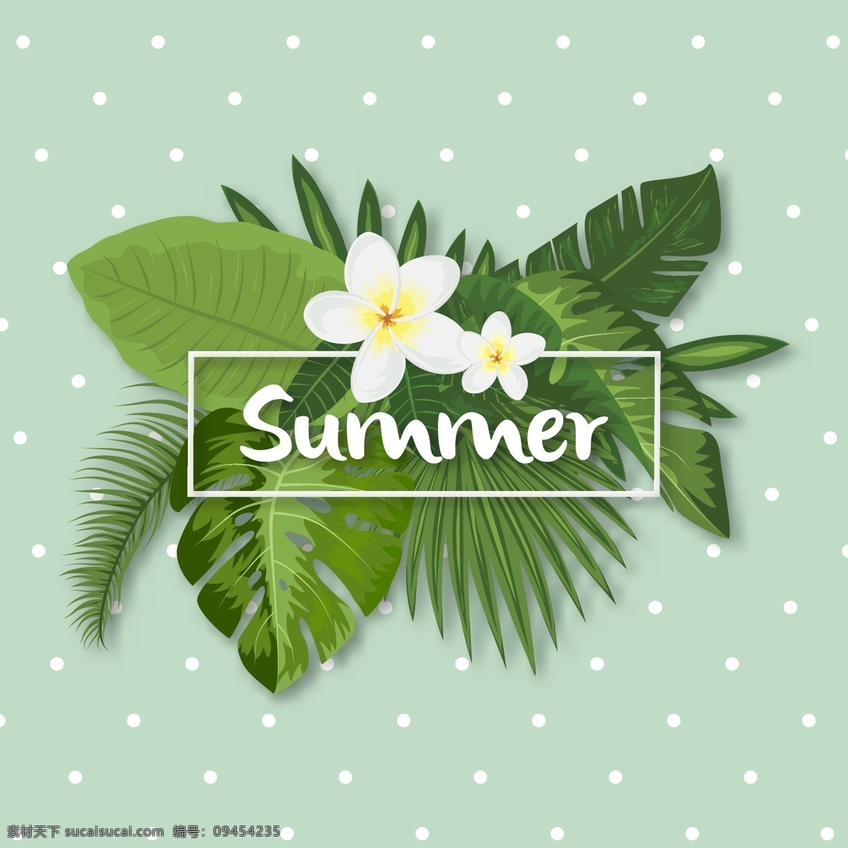 热带夏季设计 背景 花卉 框架 海报 派对 卡片 边界 夏天 树叶 绿色 海洋 海滩 阳光 假期 热带 植物 丛林 点点