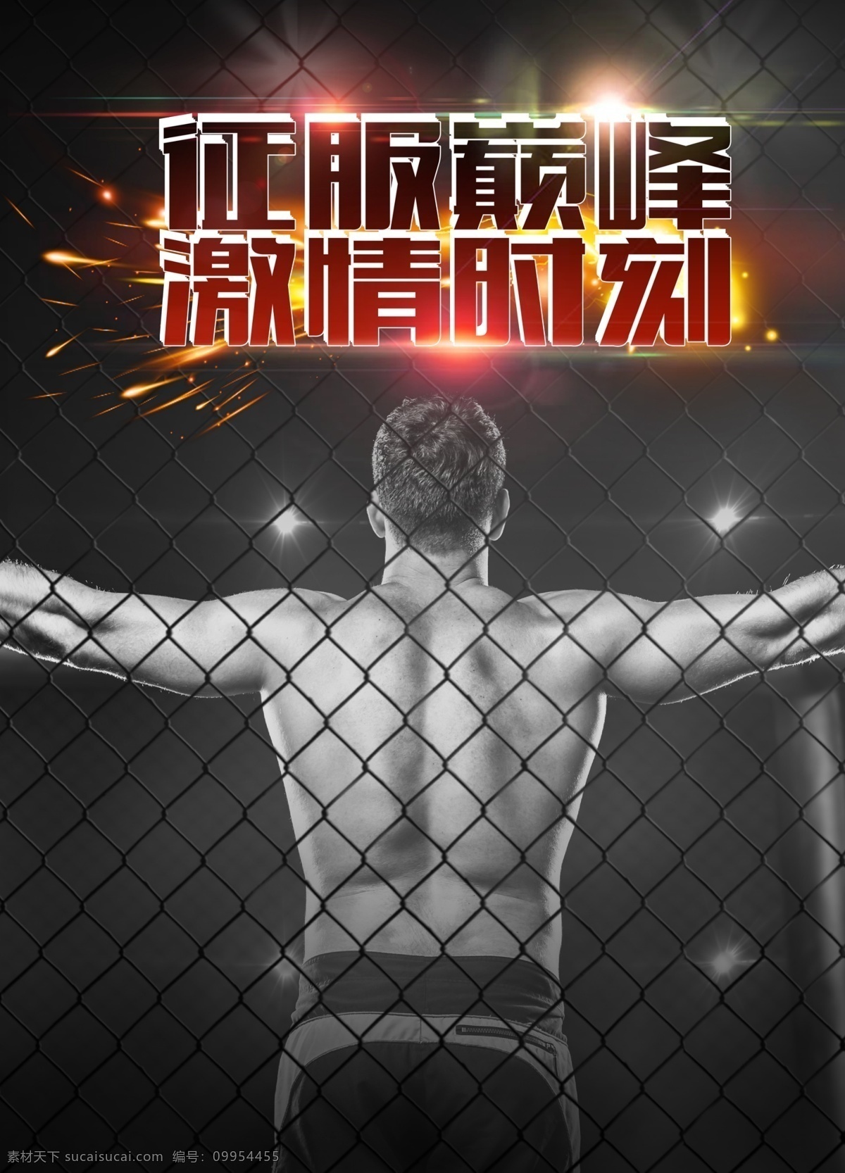拳击 体育 品牌 海报 征服巅峰 拳击体育 品牌海报