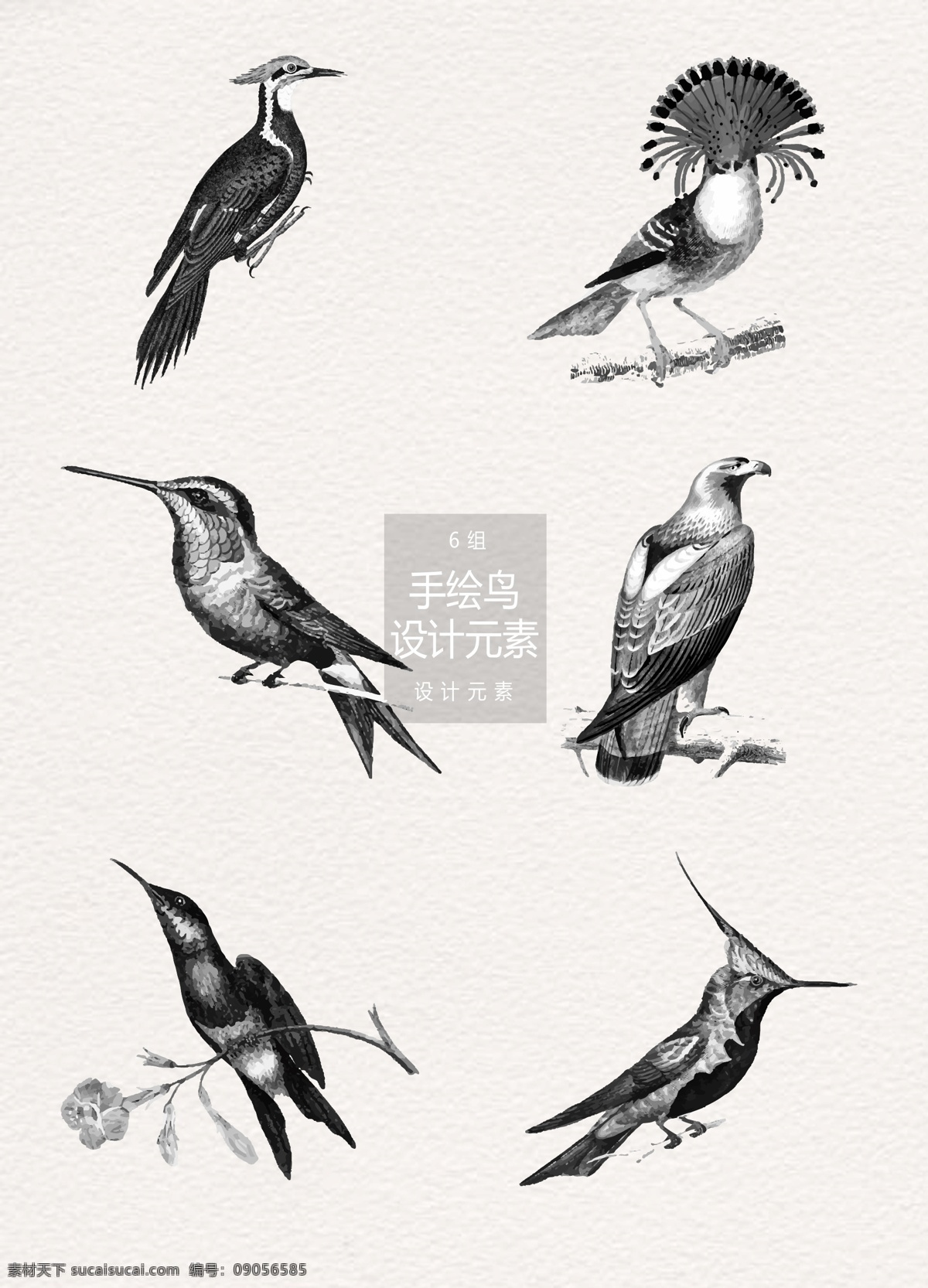 水墨 手绘 鸟 插画 元素 手绘鸟 鸟插画 水墨插画 小鸟