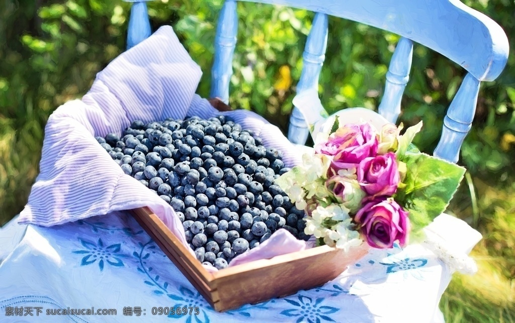 蓝莓图片 蓝莓 水果 紫色 维生素 椅子 阳光 鲜花 盛开 生物世界