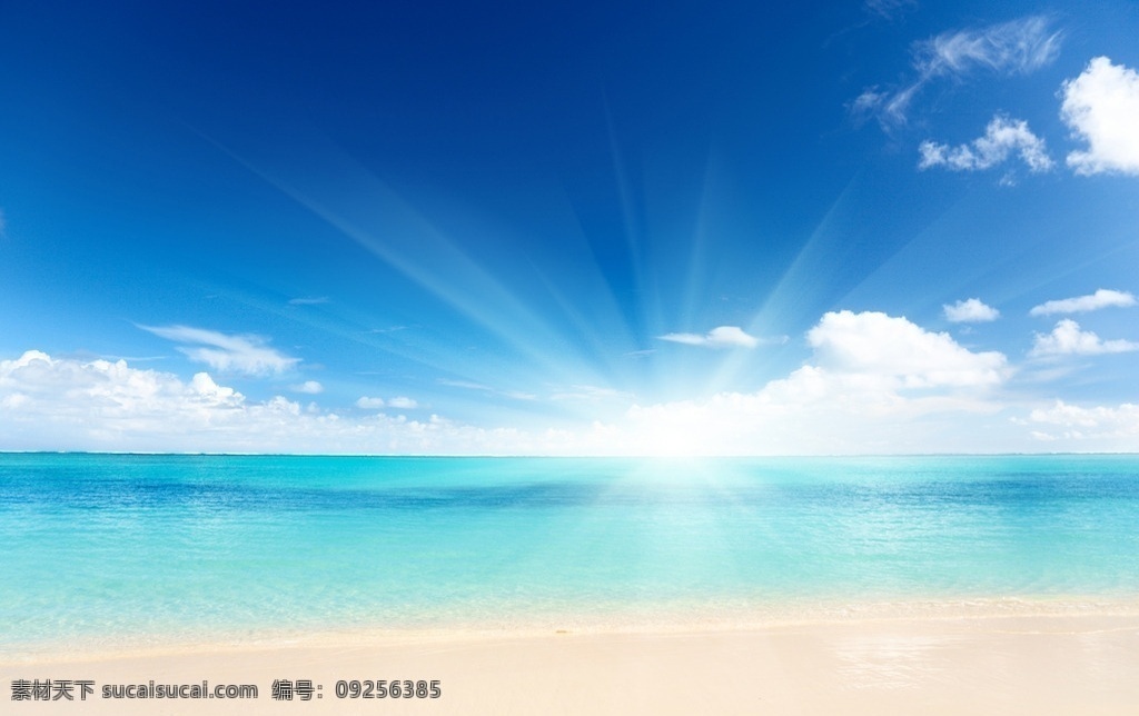海滩风景 海滩椰树风景 海滩 椰树 海边椰树 海边 夏日海滩 海滩贝壳 海滩风光 海 沙滩 海滩椰树 自然风景 自然景观 旅游摄影 国内旅游