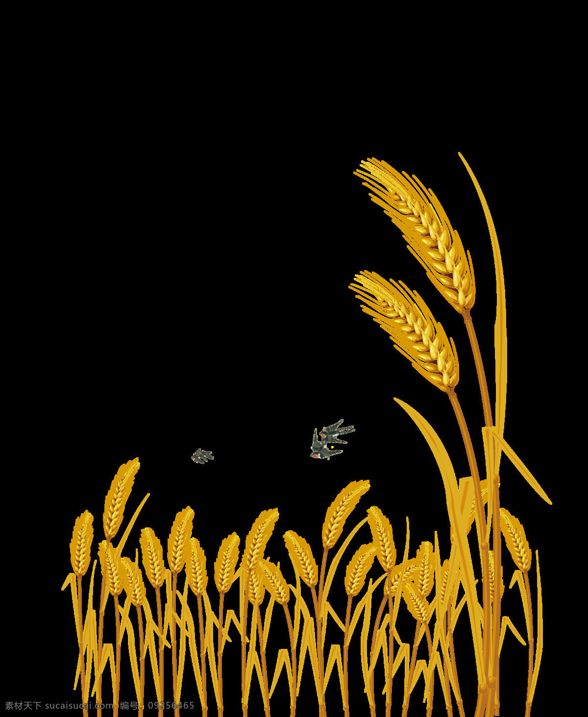 手绘 卡通 精致 麦子 装饰 食物 立体 燕子