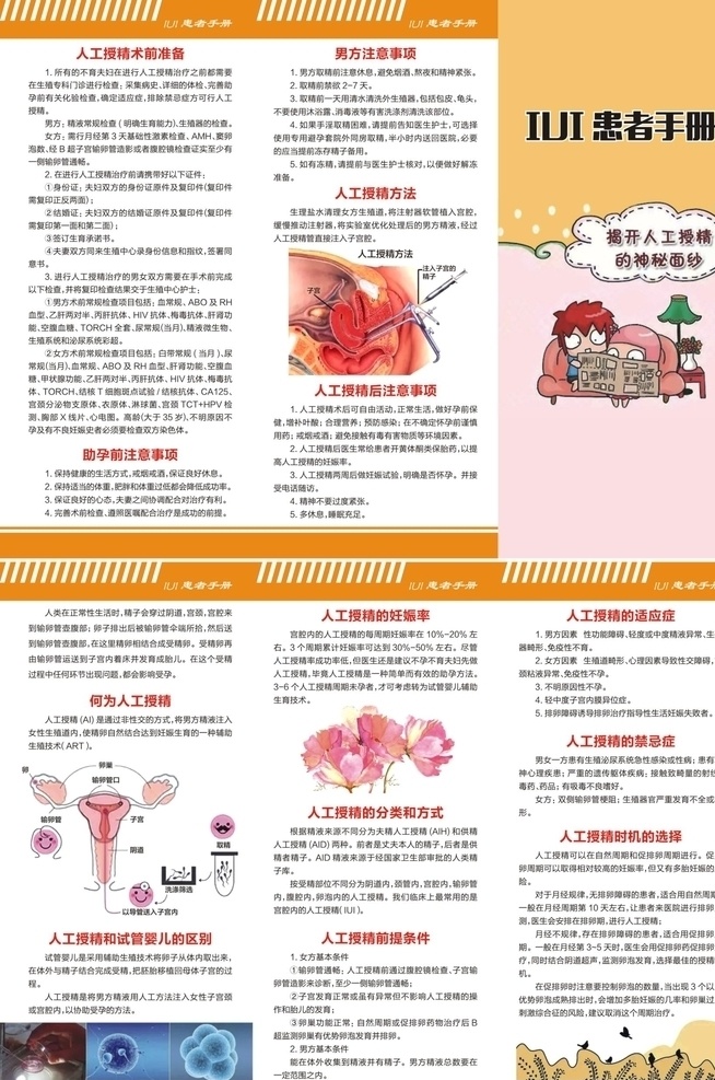 iui 人工授精 患者 三 折页 人工授精手术 人工授精宣教 人工受精 宣教 健康教育 手册 医疗 手术 术前 准备 医院 三折页 宣传 折页类