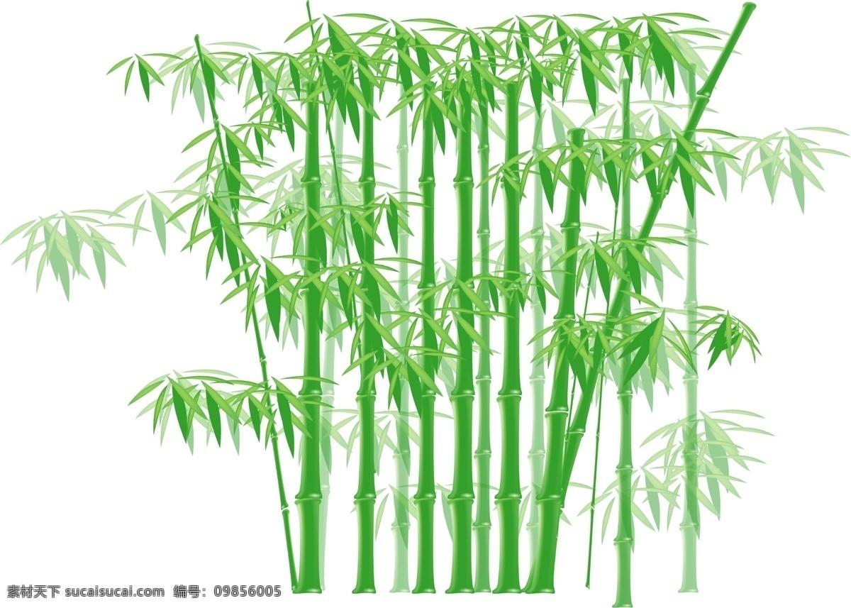竹子素材图片下载-素材编号09856005-素材天下图库