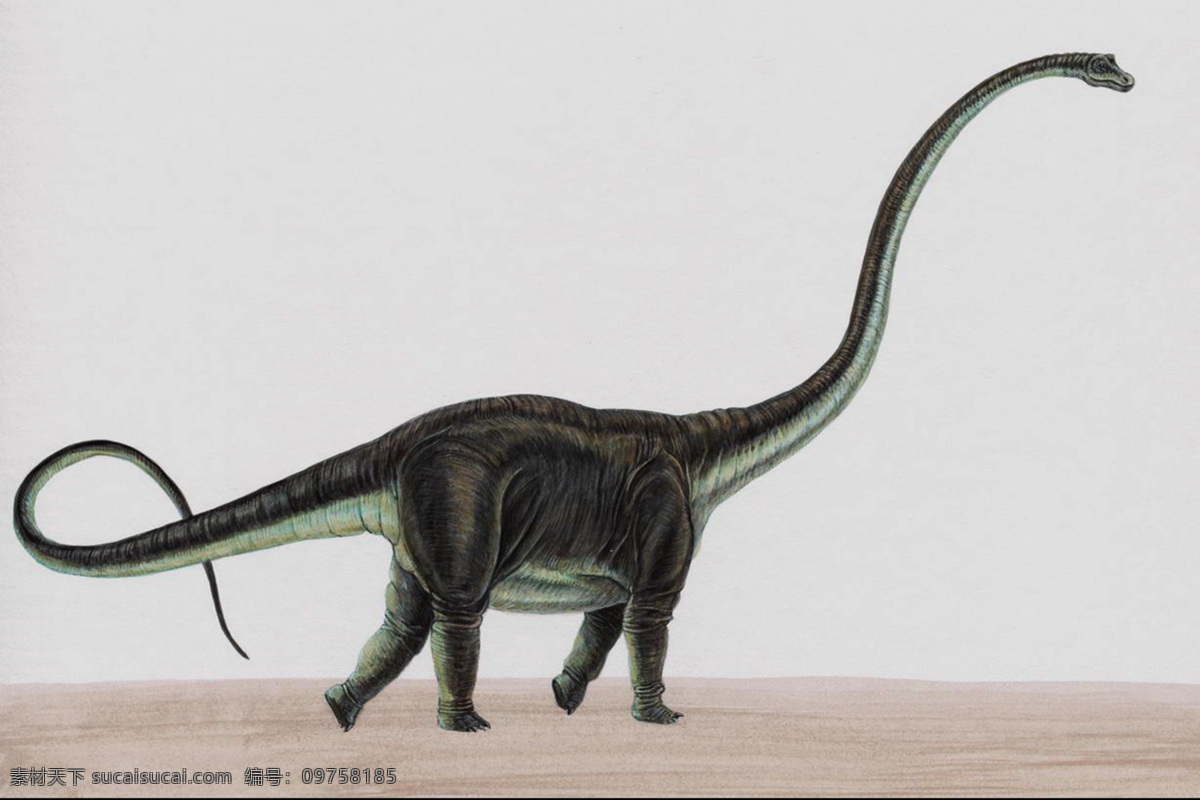 蛇颈龙 恐龙 侏罗纪 恐龙时代 恐龙绘画 恐龙手绘 恐龙复原图 生物世界