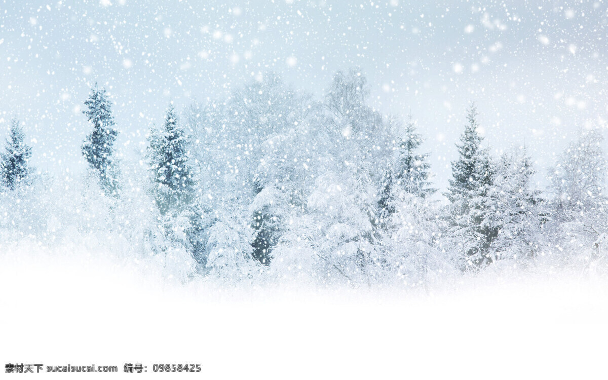 雪花纷飞 卡通 雪花 雪 下雪天 雪景 雪树 云雾 雪地 雪山 冬季 自然风光 自然景观