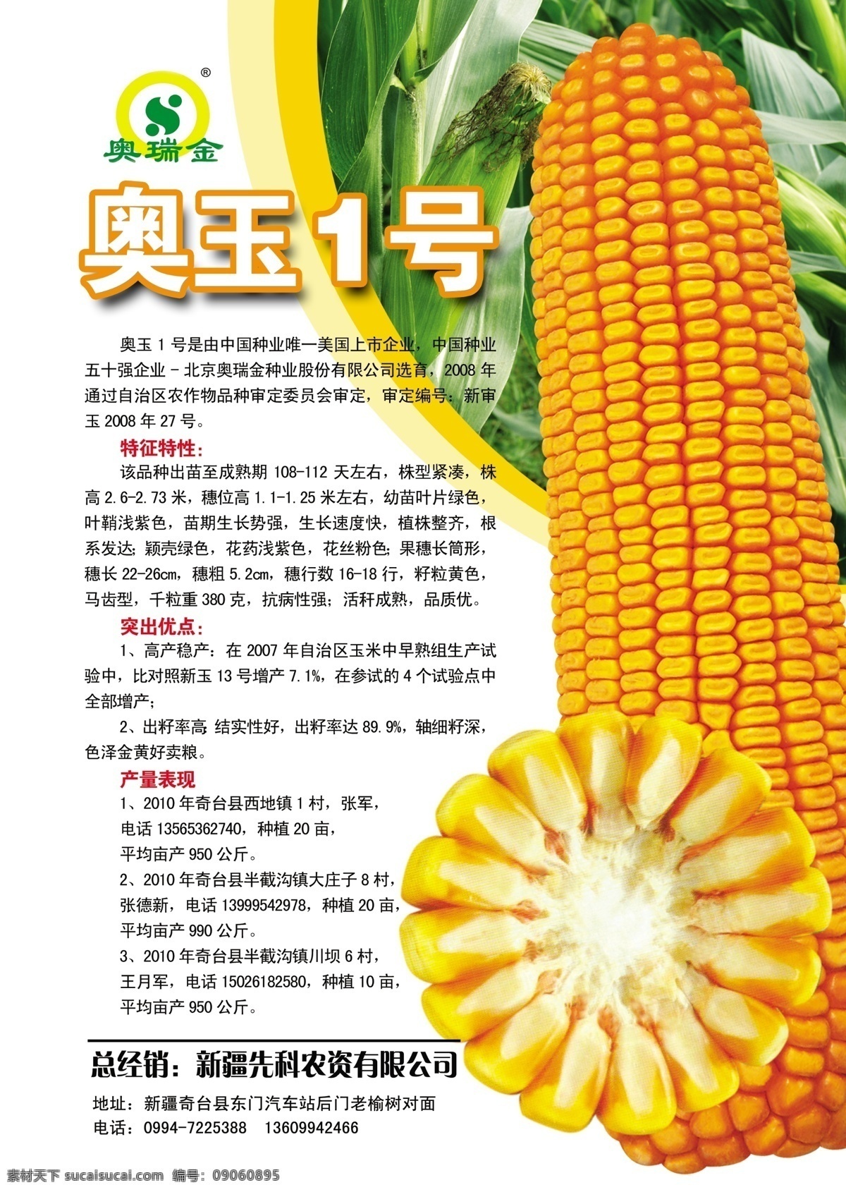 玉米 种子 宣传单 玉米种子 奥玉1号 农产品宣传页 dm宣传单 广告设计模板 源文件