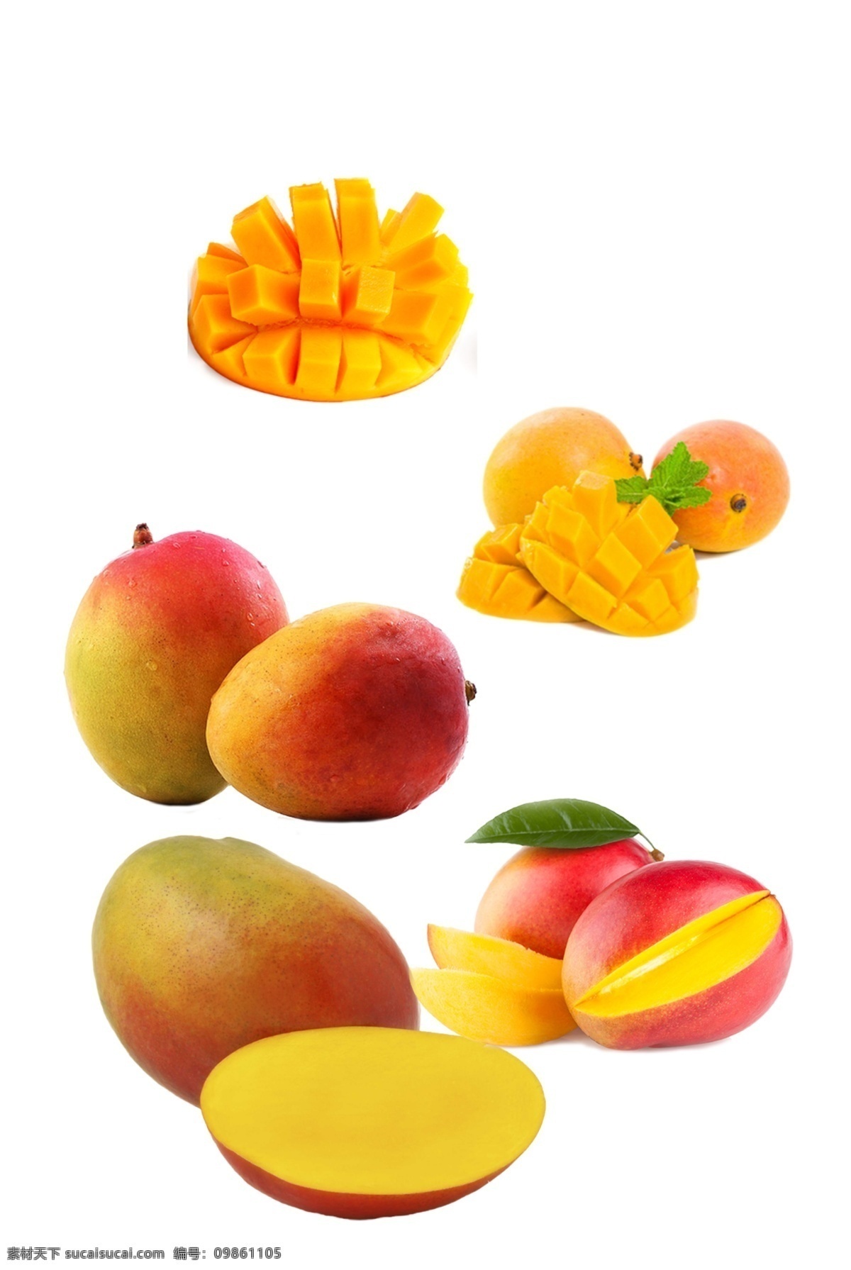 芒果图片 水果芒果 芒果文化 芒果展板 芒果包装 水果店芒果 水果店 芒果宣传册