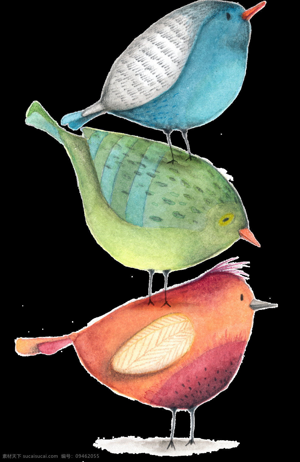 手绘 三 只 卡通 小鸟 透明 叠罗汉 翅膀 红色 蓝色 羽毛 透明素材 免扣素材