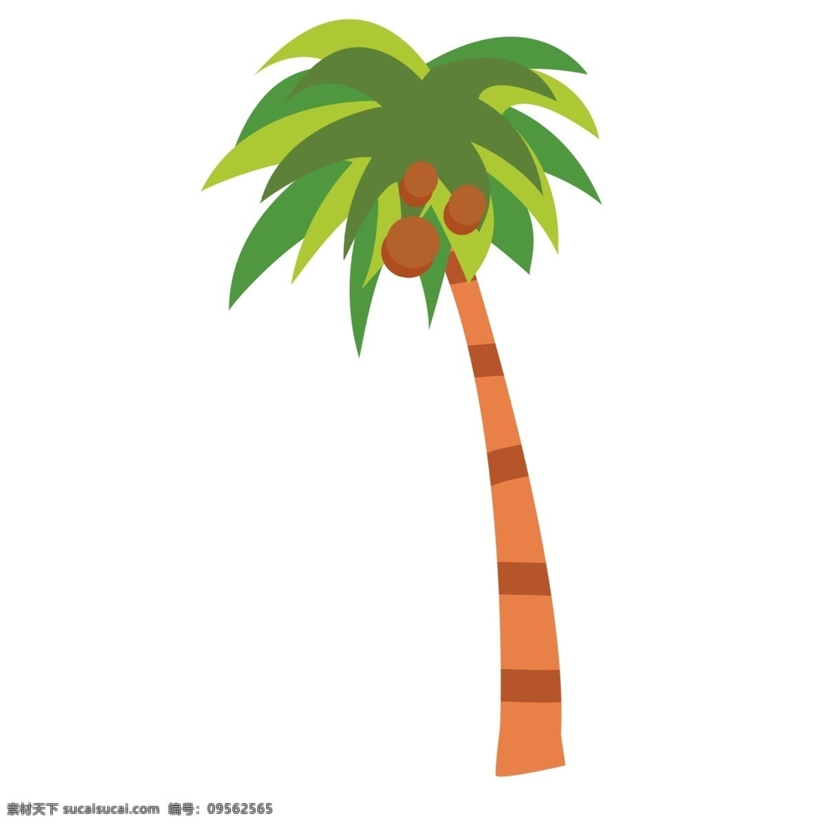 卡通 简约 椰子树 插画 元素 夏季 度假 沙滩元素 树木 植物