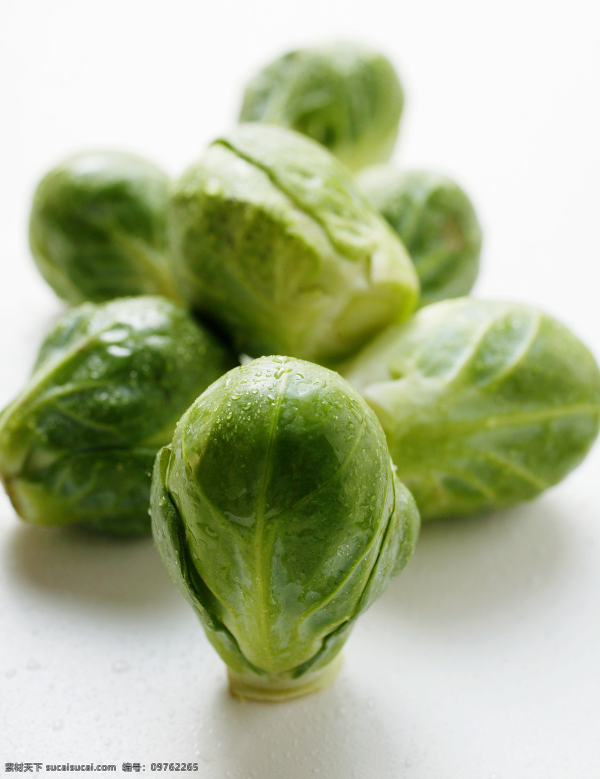 餐饮美食 高精度 绿色蔬菜 绿色蔬菜图片 生物 生物世界 食物原料 植物 自然 蔬菜 如皋 新鲜蔬菜 食材专区 风景 生活 旅游餐饮