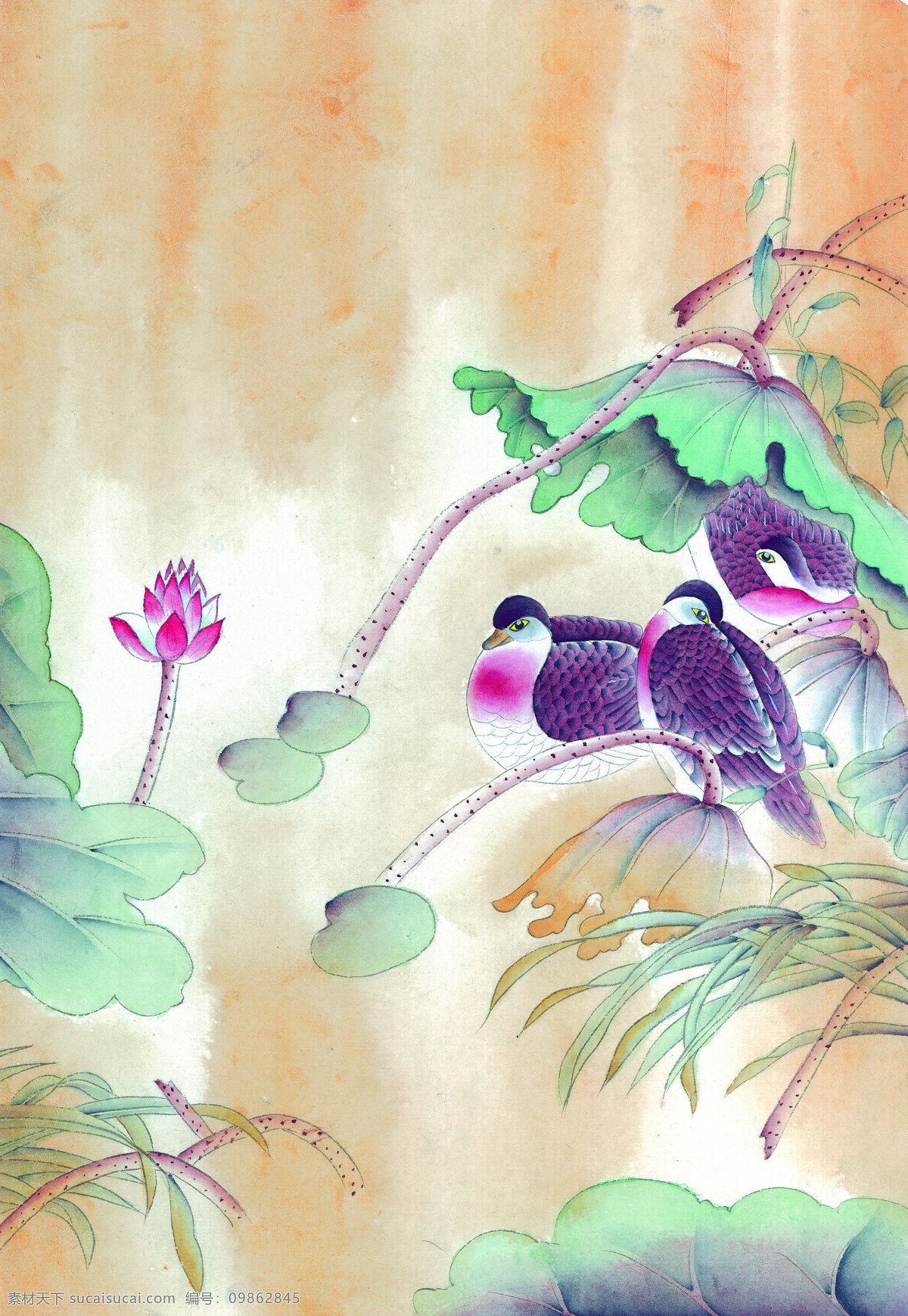 中华 艺术 绘画 古画 山水画 动物 飞鸟 中国 古代 传统绘画艺术 美术绘画 名画欣赏 水彩画 水墨画 文化艺术