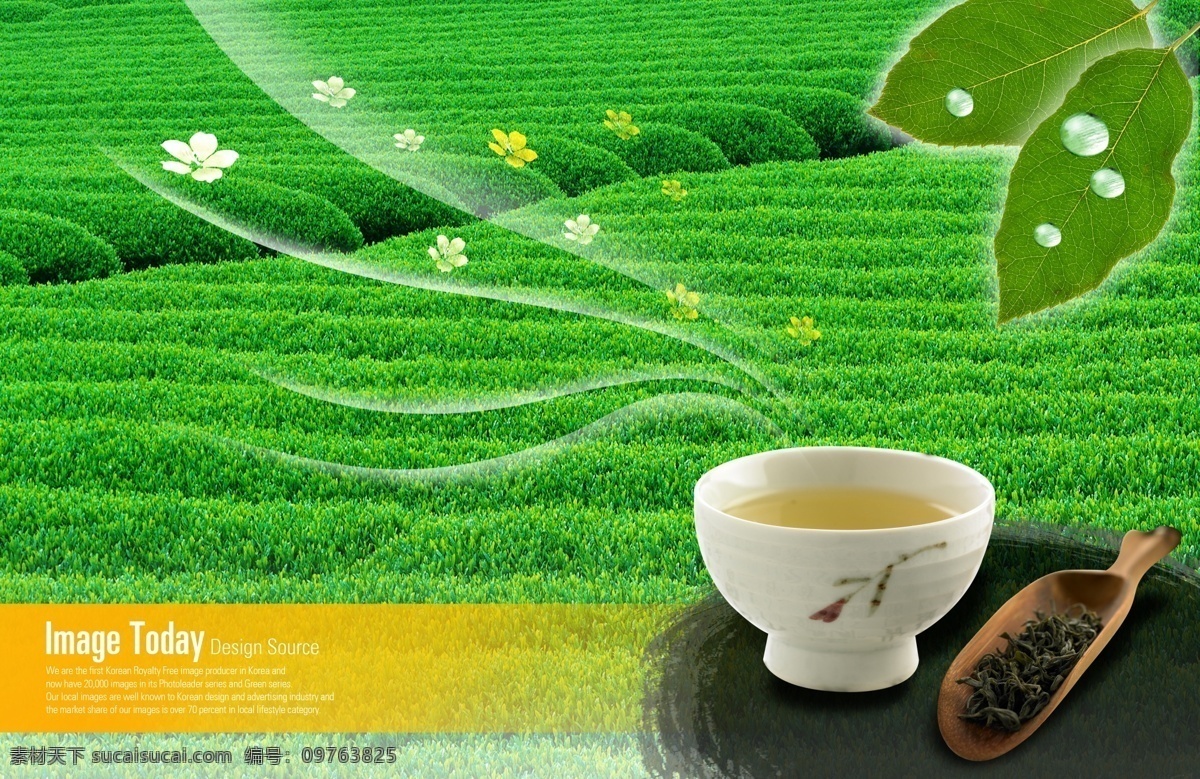 茶叶茶园 绿色概念 环保 节能 清新 自然 茶园 茶叶 茶 飘香 鲜花 广告设计模板 psd素材 绿色