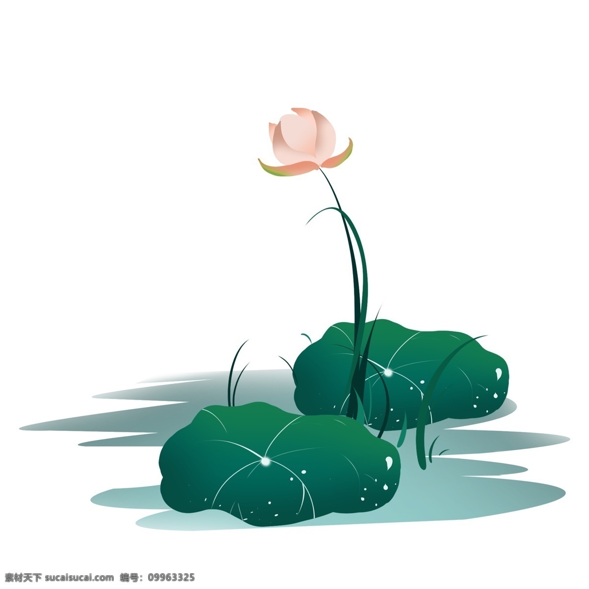 绿色 荷花 卡通 插画 荷叶 绿色的荷叶 唯美的植物 卡通植物插画 荷花插画 盛开的花朵 植物插画