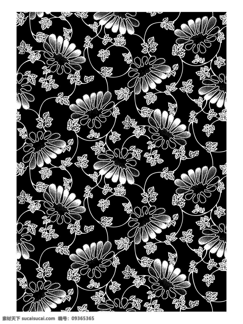 黑白 花卉 纹样 图案 清新 矢量 广告 插页 插画 黑色