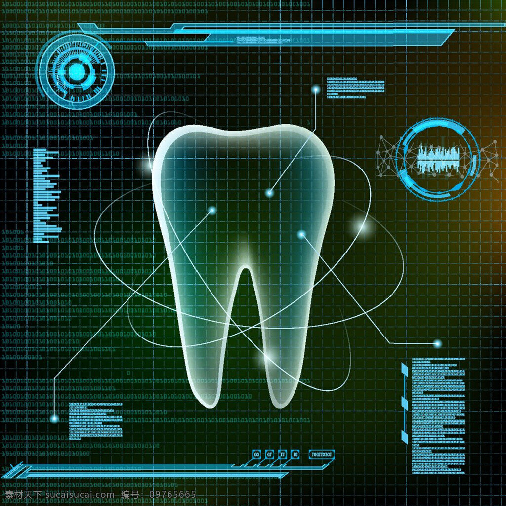 牙齿结构分析 牙齿 结构 分析 假牙 牙齿结构 数据图 矢量 科学