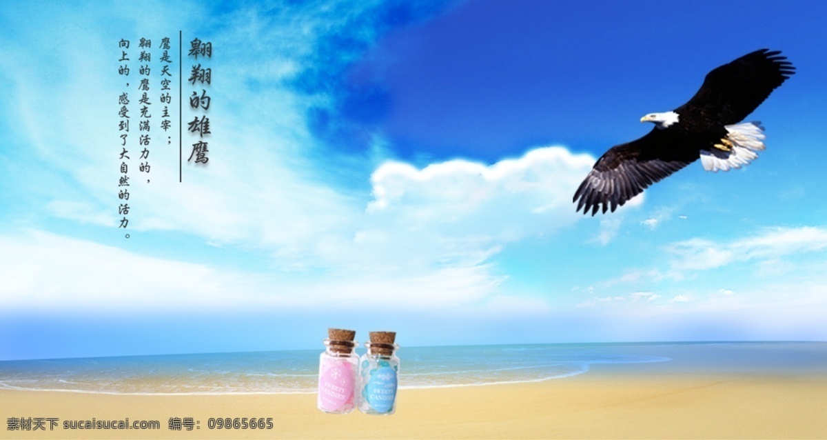 鹰 愿望 翱翔 动力 活力 积极 沙滩 天空 希望 向上 许愿瓶 自然 翱翔的鹰 原创设计 其他原创设计
