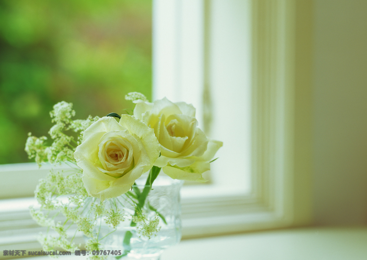 玻璃杯 窗户 玫瑰 生活百科 生活素材 室内插画 鲜花 窗前 清新 淡雅 玫瑰花 室内插图 插画集